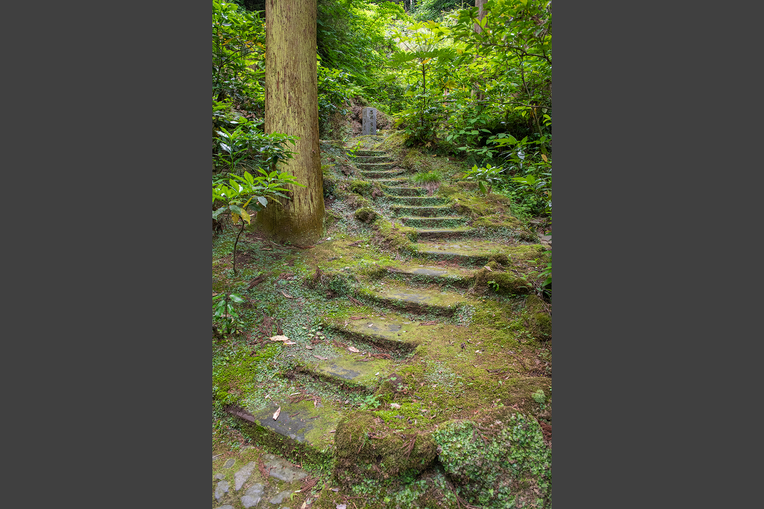 Am Tōkei-ji-Tempel